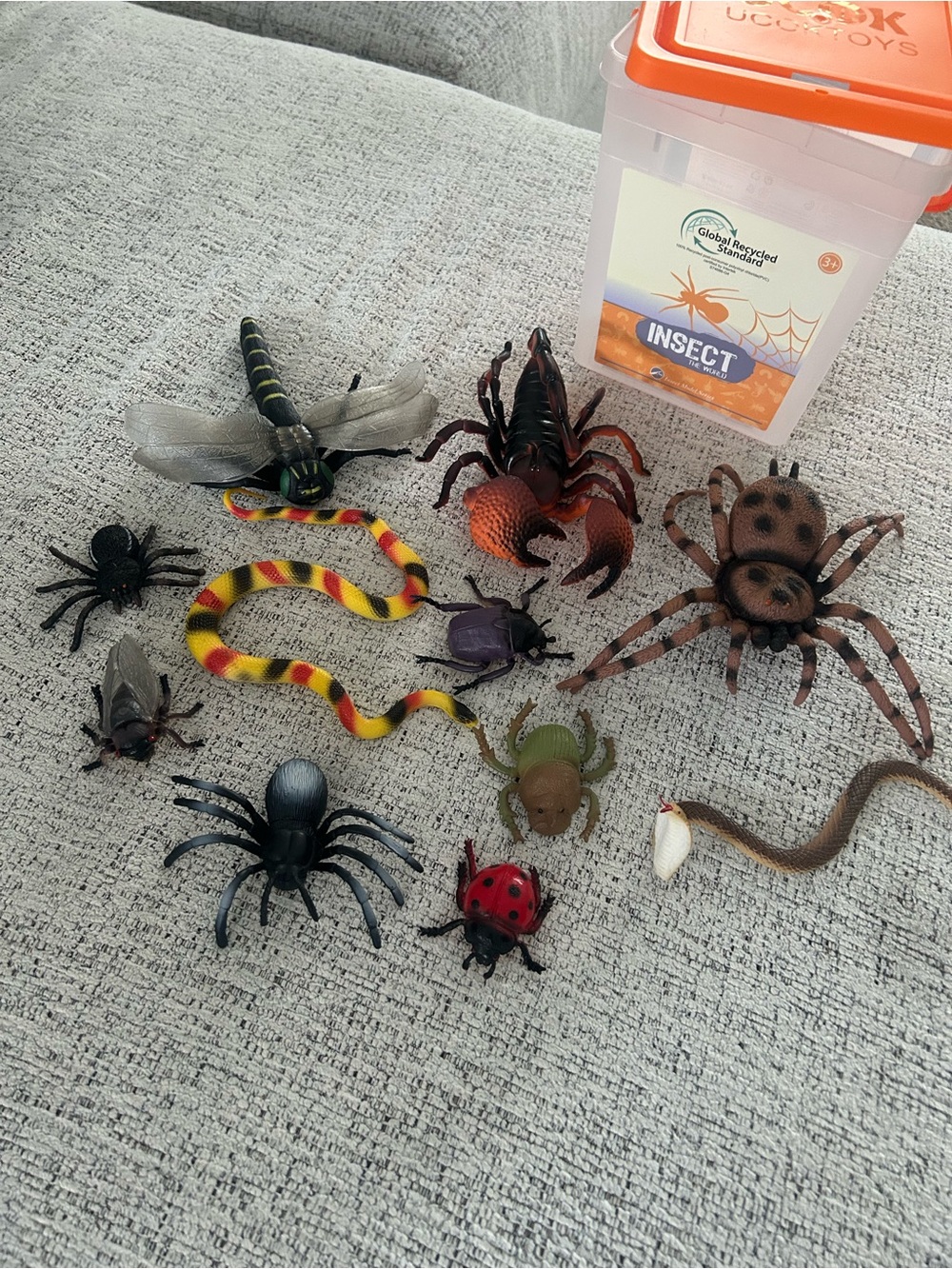 Insect Adventure Toy Set - Assorted Colors